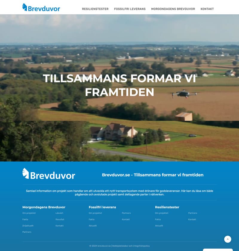 Website preview