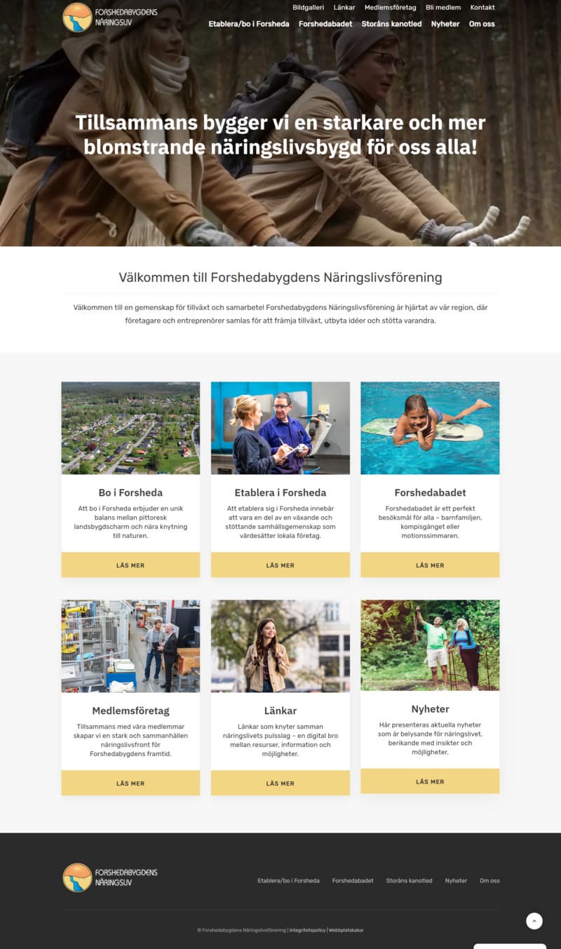 Website preview